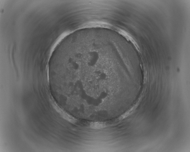 X0000080181275200612221307