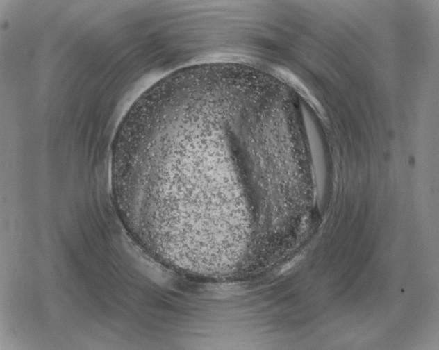 X0000080181276200612221307