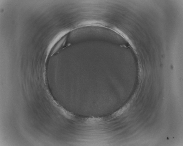 X0000080181277200612221306