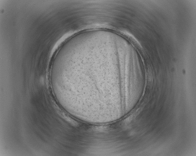 X0000080181278200612221306