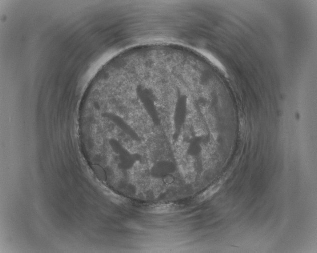 X0000080181279200612221306