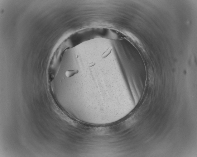 X0000080181280200612221306