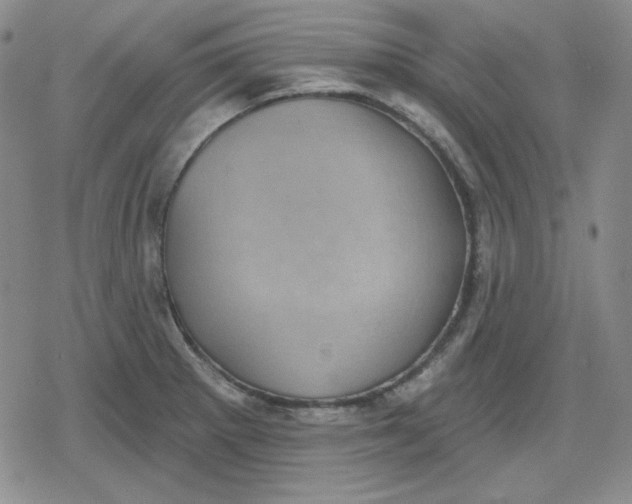 X0000080181281200612221306