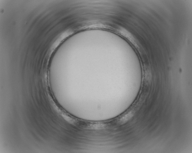 X0000080181282200612221306