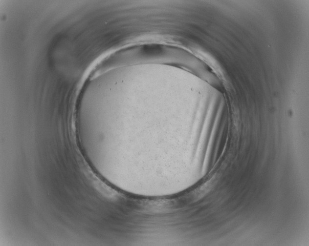 X0000080181288200612221306