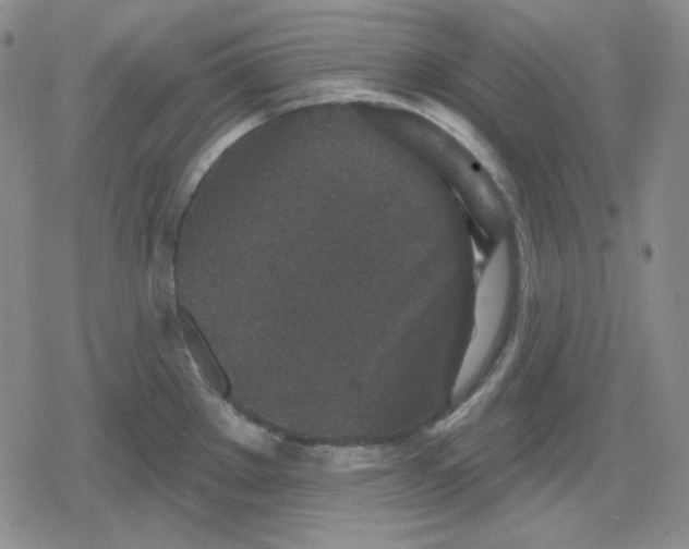 X0000080181289200612221306