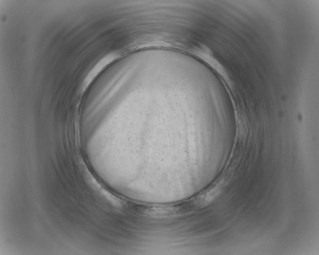 X0000080181290200612221306