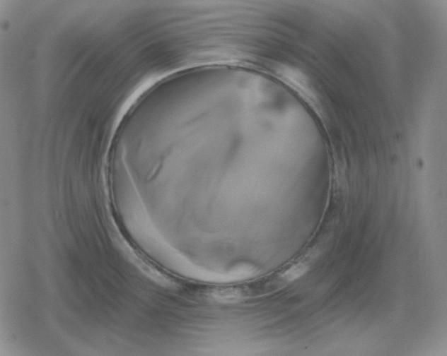 X0000080181291200612221306