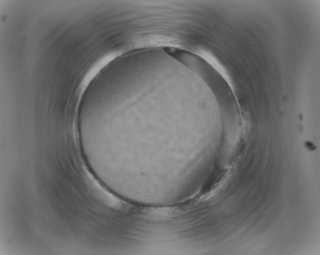 X0000080181293200612221306