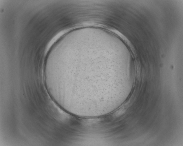 X0000080181294200612221306