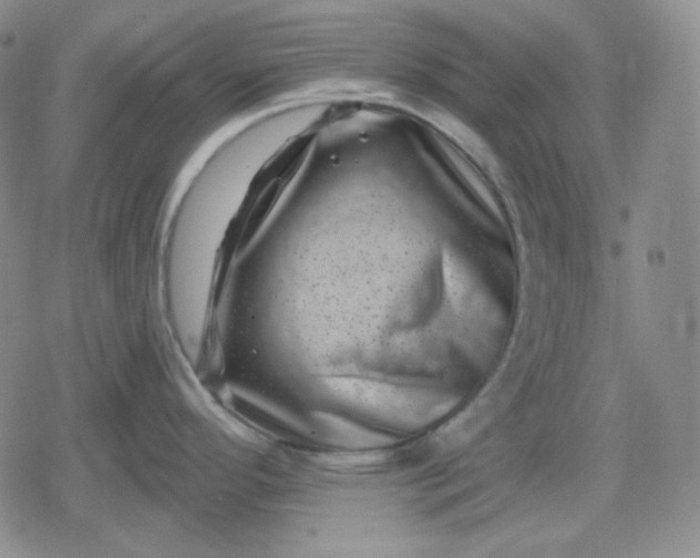 X0000080181296200612221306