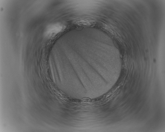 X0000080181297200612221305