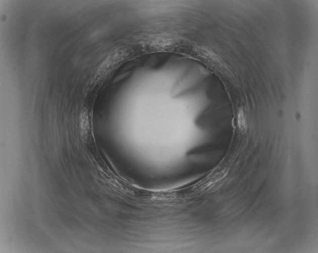 X0000080181299200612221305