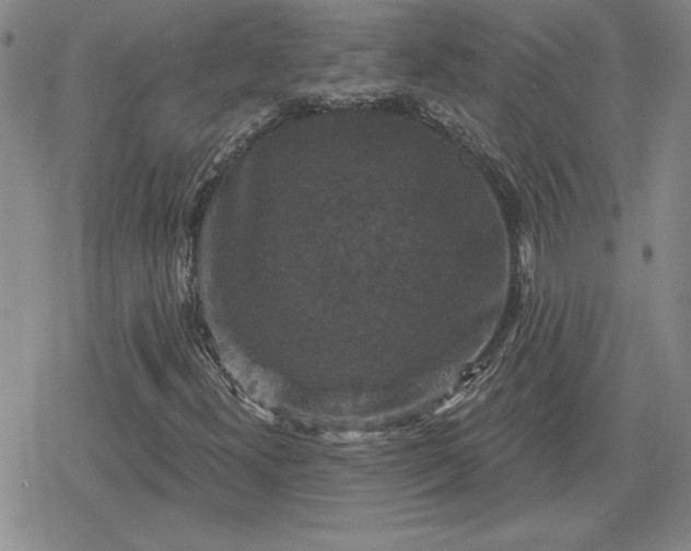 X0000080181300200612221305