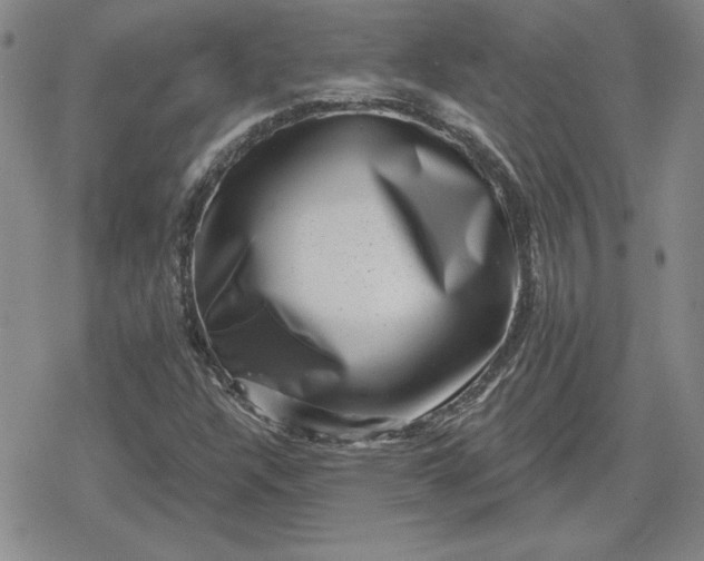 X0000080181304200612221306