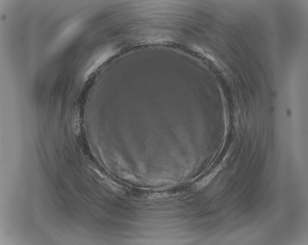 X0000080181306200612221306