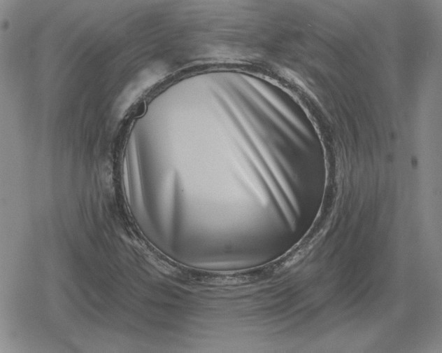 X0000080181307200612221306