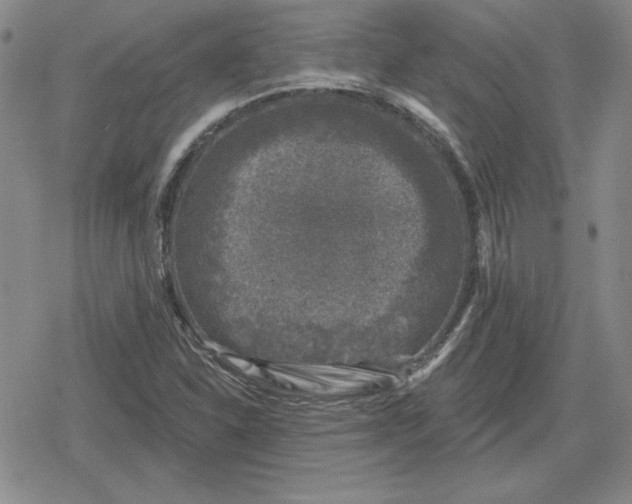 X0000080181310200612221306