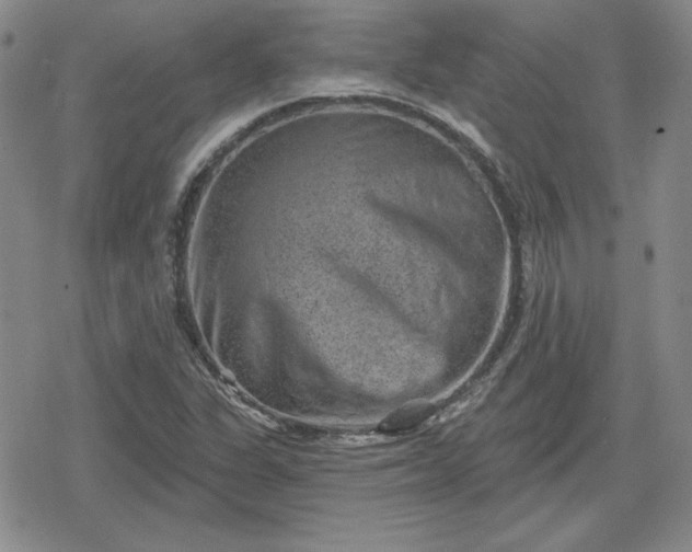 X0000080181311200612221306