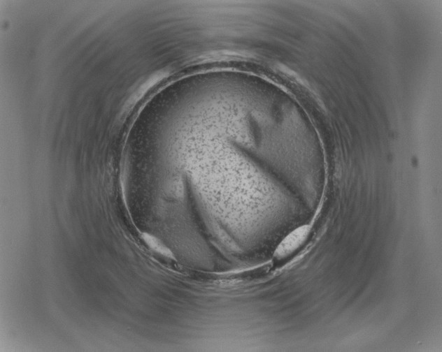 X0000080181313200612221306