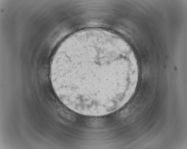 X0000080181314200612221306