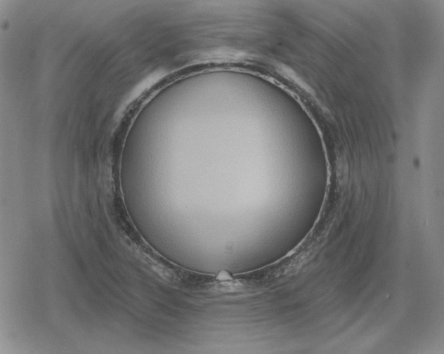 X0000080181315200612221306