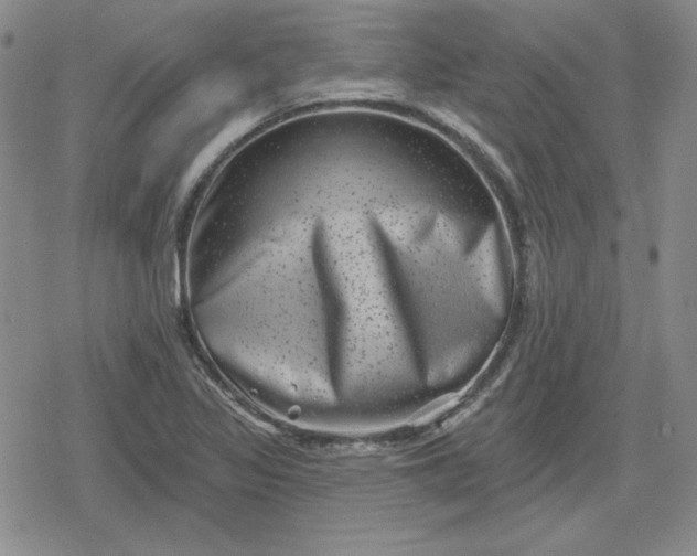 X0000080181317200612221306