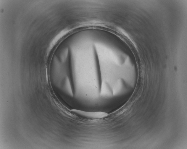 X0000080181320200612221306