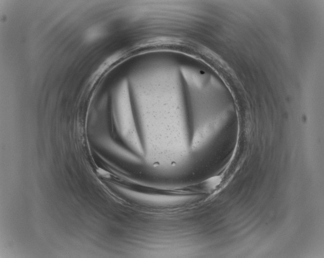 X0000080181321200612221306