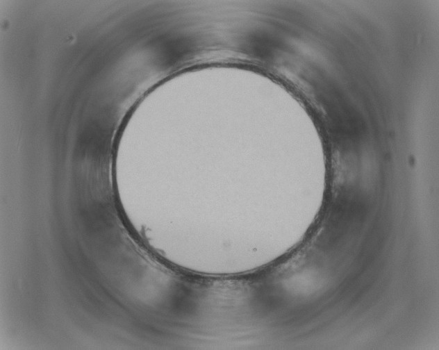 X0000080181322200612221306