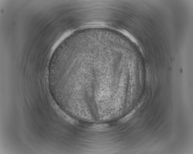 X0000080181325200612221306