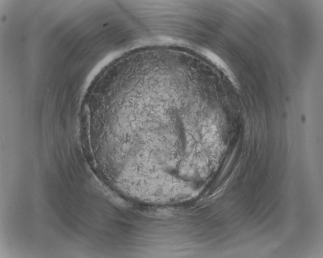 X0000080181326200612221306