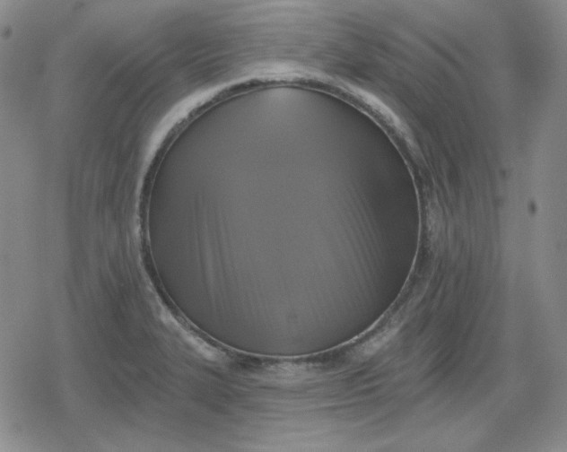 X0000080181327200612221306