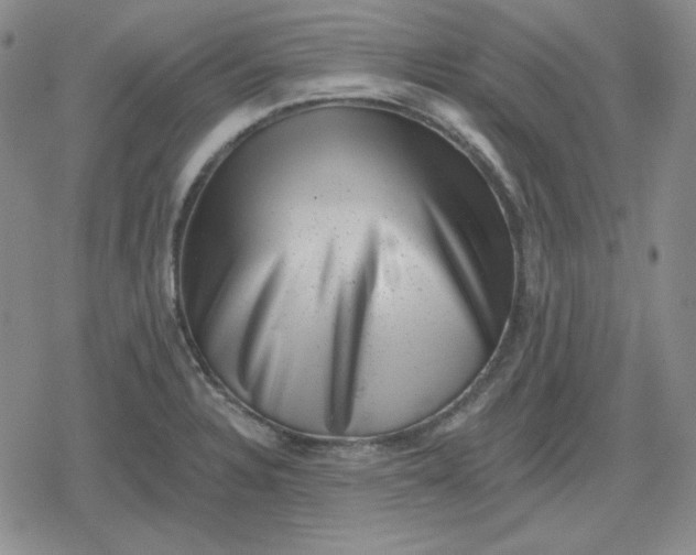 X0000080181328200612221306