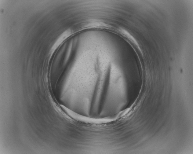 X0000080181330200612221306