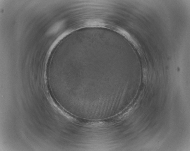 X0000080181331200612221306