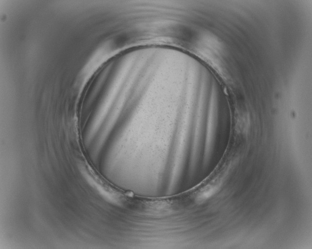 X0000080181332200612221306