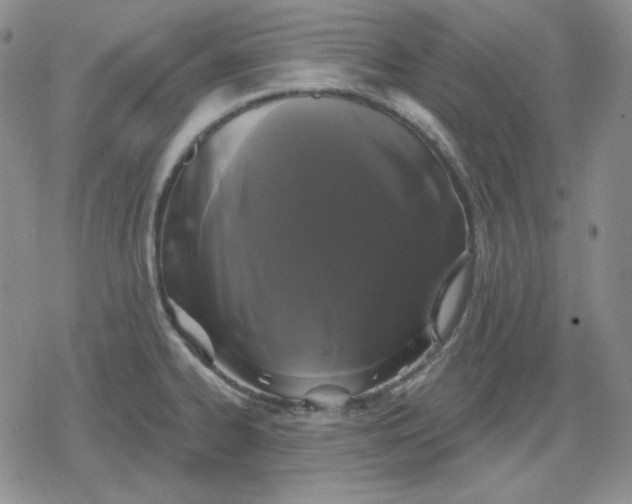 X0000080181334200612221306