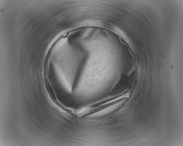 X0000080181339200612221306