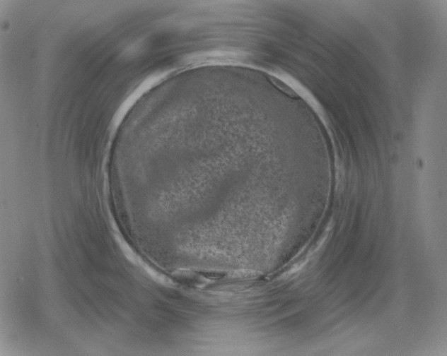 X0000080181341200612221306