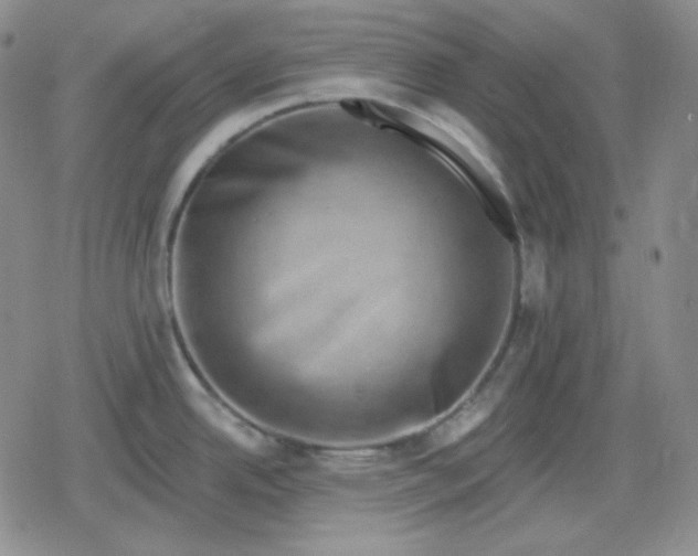 X0000080181342200612221306