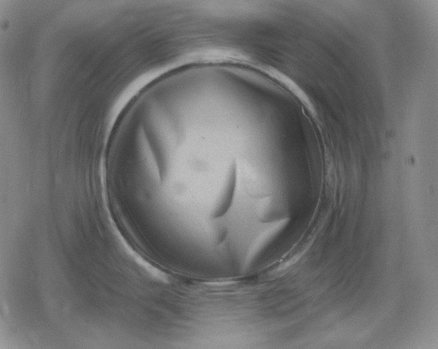 X0000080181343200612221306