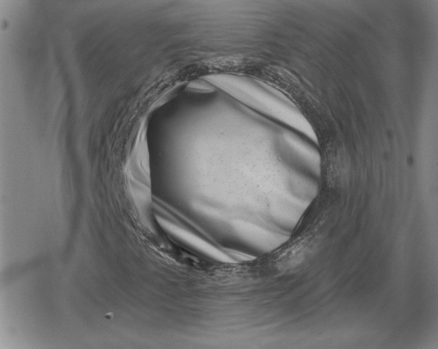 X0000080181345200612221305