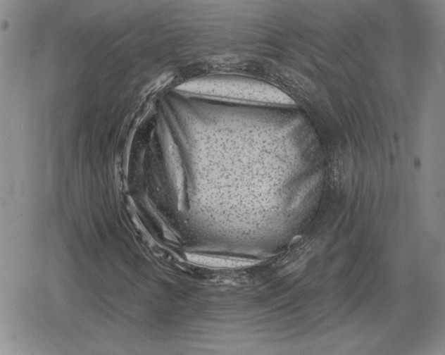 X0000080181346200612221305