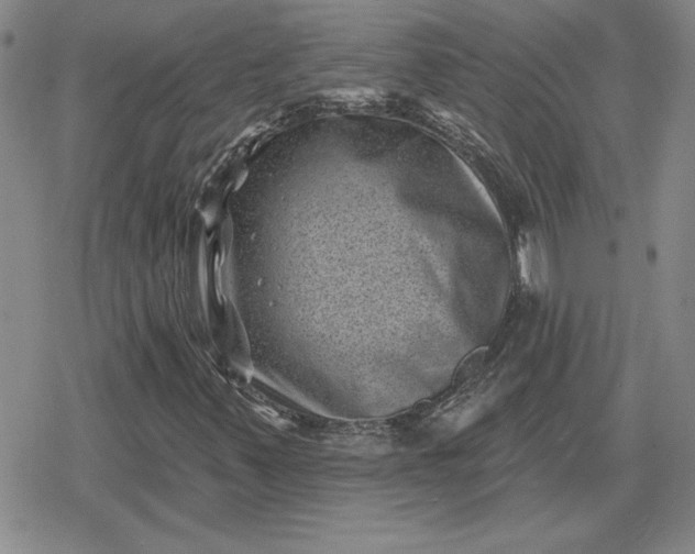 X0000080181347200612221305