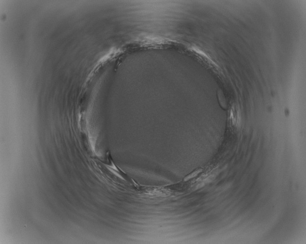 X0000080181348200612221305