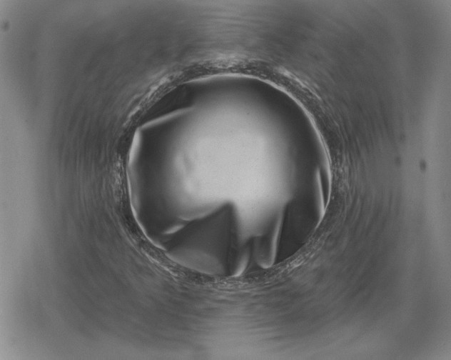 X0000080181349200612221305