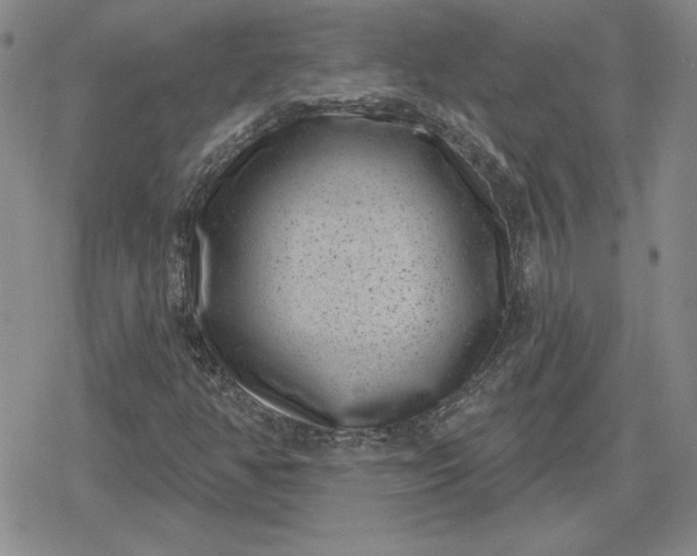 X0000080181350200612221305