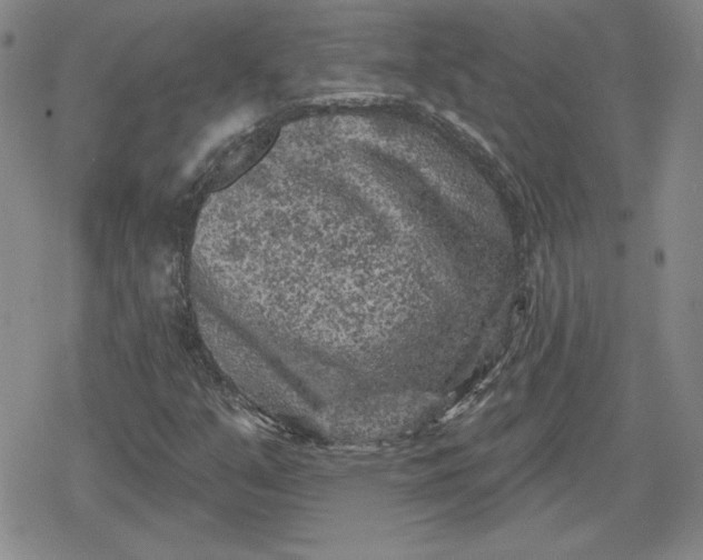 X0000080181351200612221305