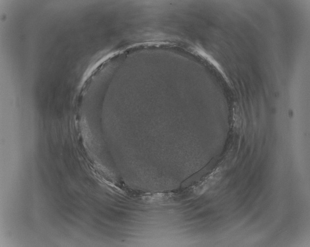 X0000080181352200612221305